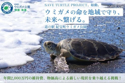 「紀宝町ウミガメ公園｜ウミガメの命を地域で守る。持続可能な保護の仕組みを作る挑戦！」