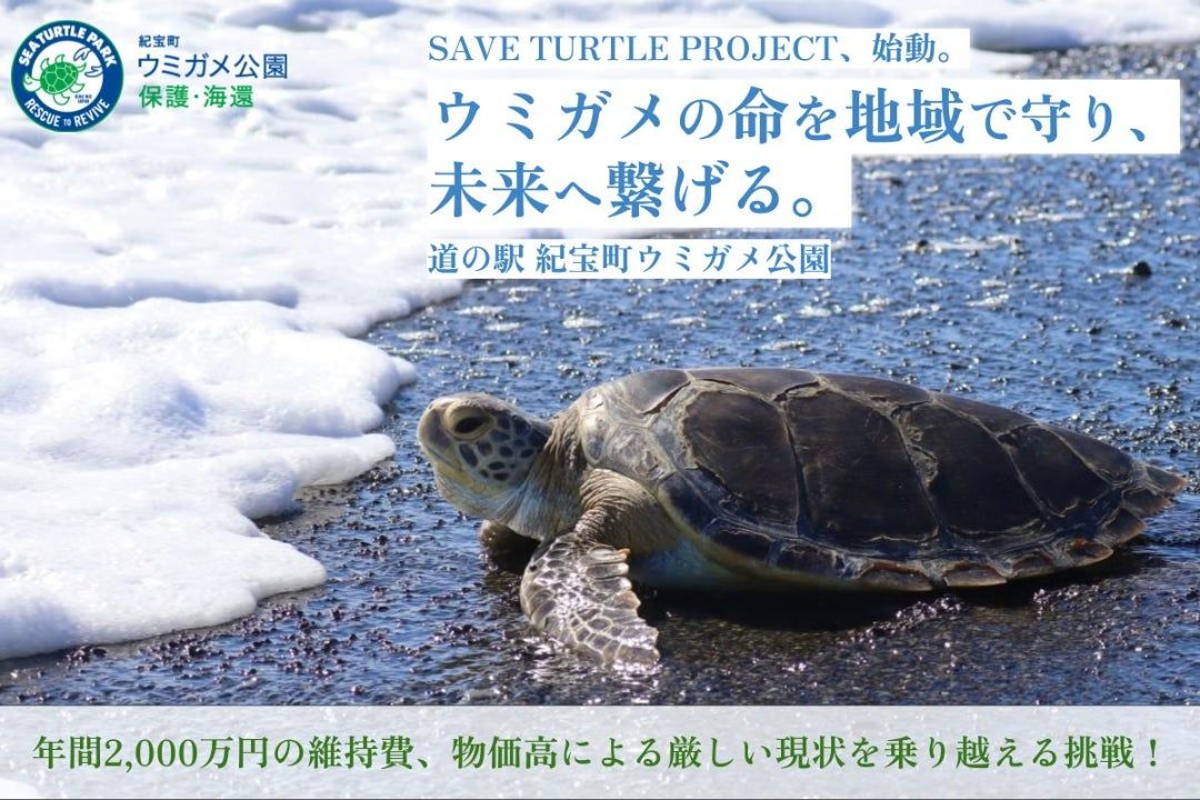 「紀宝町ウミガメ公園｜ウミガメの命を地域で守る。持続可能な保護の仕組みを作る挑戦！」