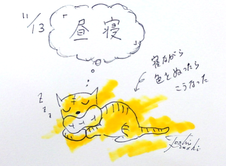 11月13日（金）のデリフラは・・・・