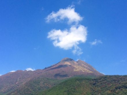 11月2日（月）今日の1コマ
