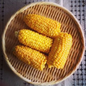 8月18日（火）今日の1コマ