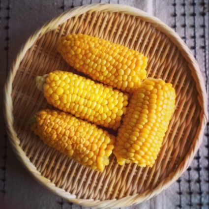 8月18日（火）今日の1コマ