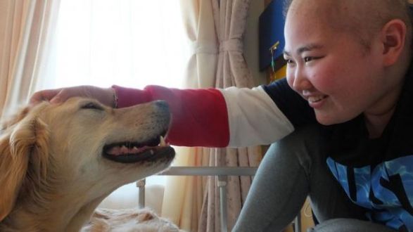 『ファシリティドッグの寄り添いを未来へつなぐプロジェクト2021』