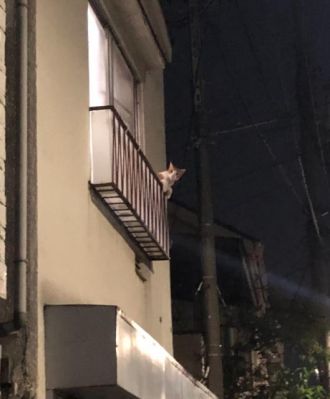 12月10日(火)今日の1コマ♪