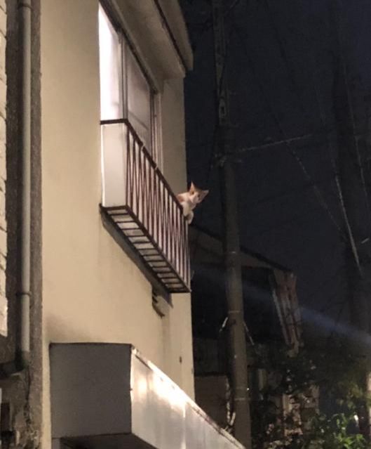 12月10日(火)今日の1コマ♪