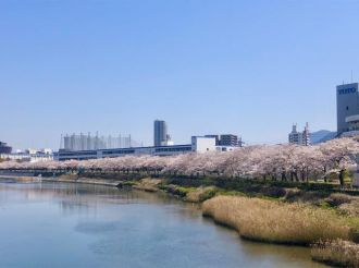 4月9日（木）　今日の1コマ　〜川沿いの春〜