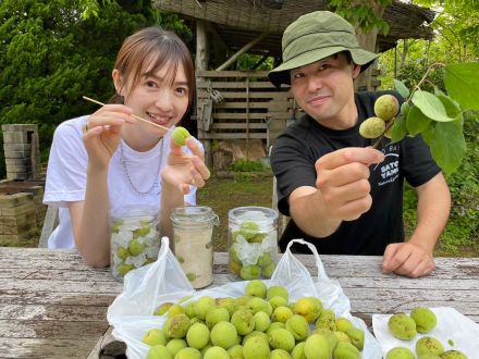 【＃５９　うめぇ　梅ジュースをつくろう！】
