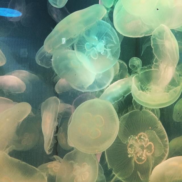 3月6日（火）今日の1コマ　