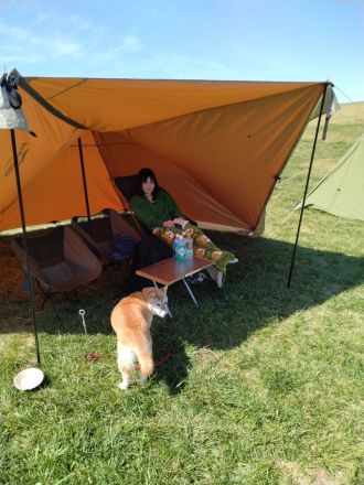 社会派シンガーソングライターうぴ子と《柴犬大好き》トーク♡