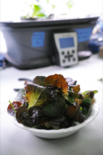 5月3日（水）担当：村上祐資