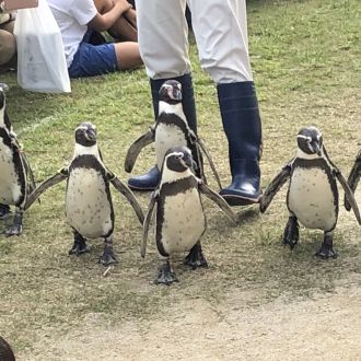 第２３回：長崎ペンギン水族館