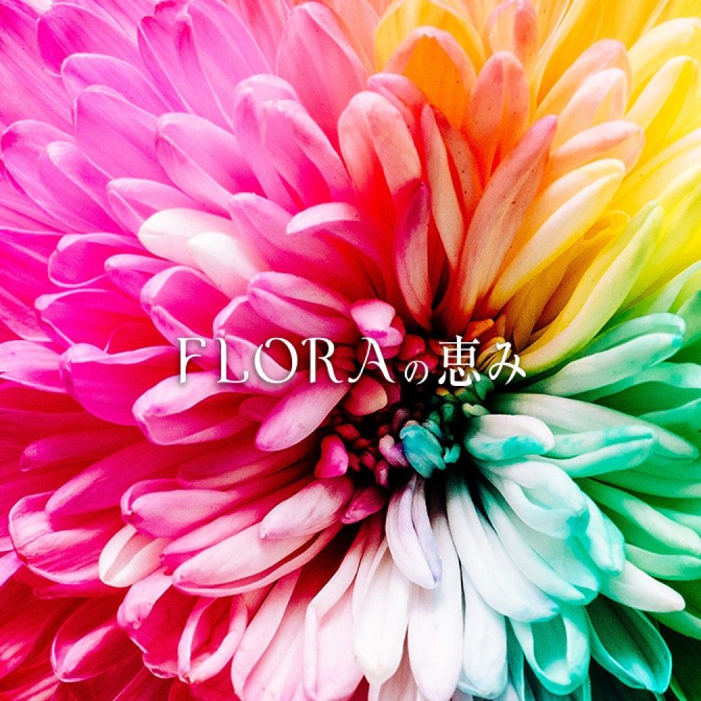 FLORAの恵み