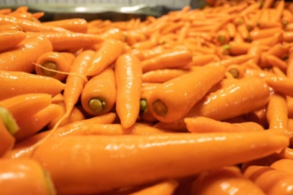 秋の味覚・きのこ特集！～秋まっさかりの食材～フルーツにんじん（北海道）