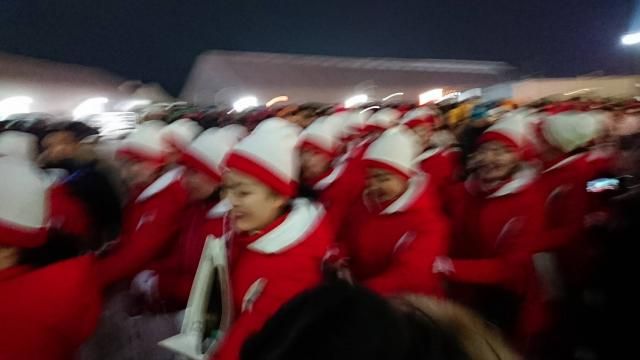 今日の1コマは「美女軍団」