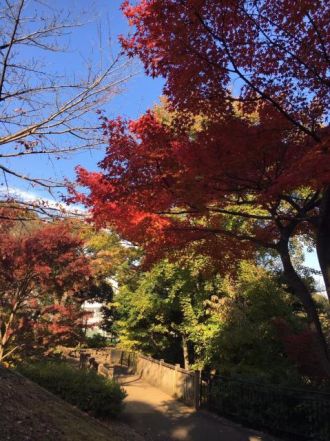 11月30日（金）今日の1コマ♪