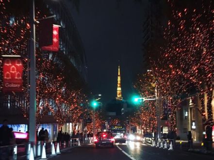 藤井悠のいただき！イルミ！