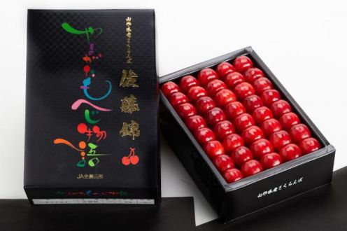 6月17日(月)「当たった話」