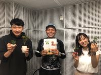 【わくわくニスト】#2 手のひら盆栽のスペシャリスト ビリさん（前編）