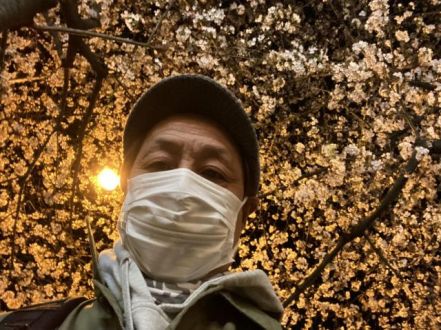 斉藤リョーツのいただき！桜