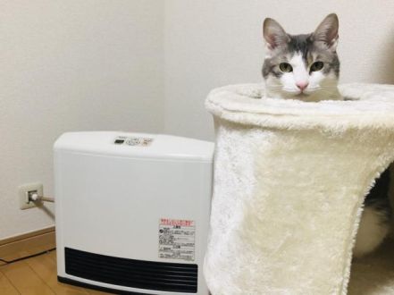 2月18日（月）今日の1コマ　