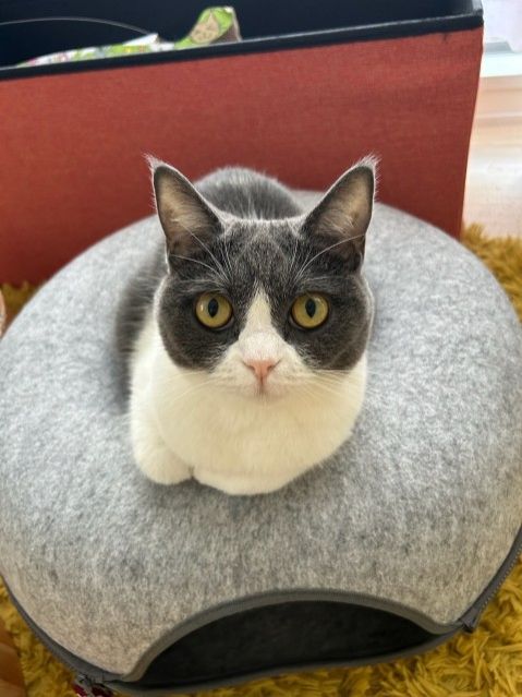 久々の「みてみて！うちの子コレクション！！」