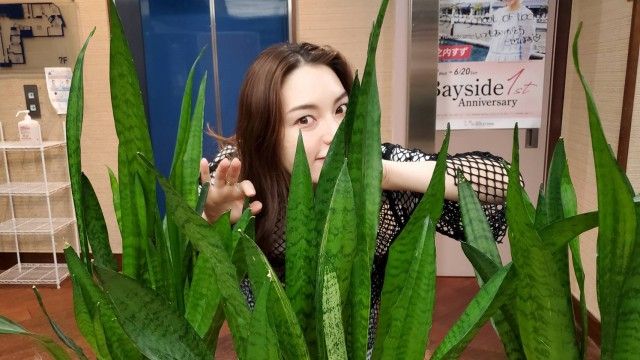 CITY GIRLS MUSIC #254《安田レイレコメンド》