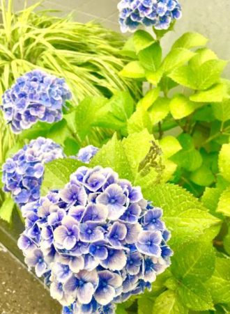 今日の一コマ♪