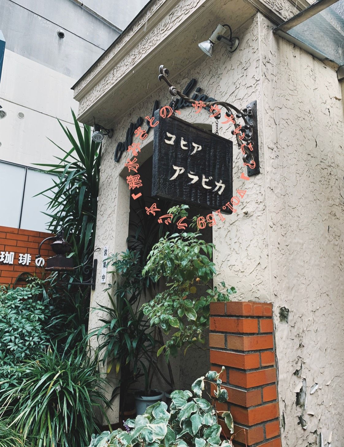 紅茶みたいな浅煎り？深すぎるコーヒーの世界♨