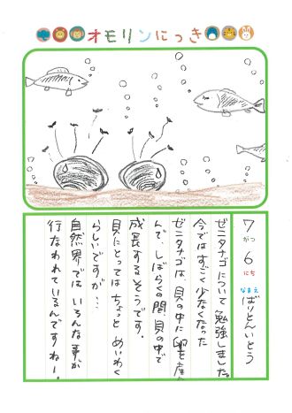 2025年7月6日「ゼニタナゴさんをみできましたよ」