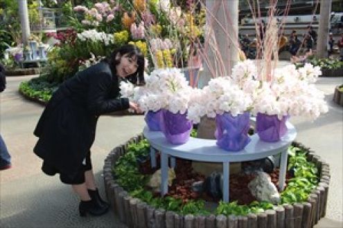 すごいぞ鳥取！　～境港から琴浦・大山編～