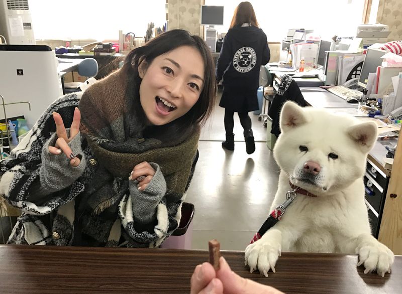 大館で探そう！秋田名物