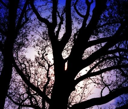 暑い夏に最適！ちょっと怖い海外ドラマ ベスト3