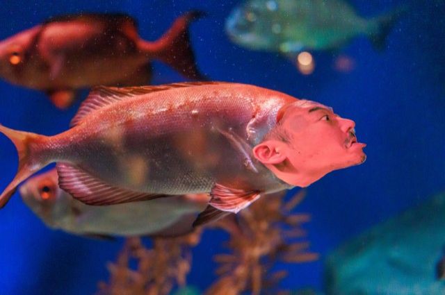 2022年2月7日(月)放送終了！