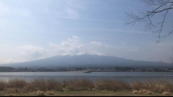5月27日（月）今日の1コマ　