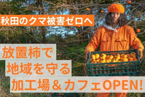 【クマ被害ゼロへ】秋田で放置柿の加工と食事ができる店舗をオープンして地域課題解決
