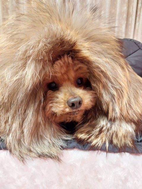 11月3日(金)朝5時30分から、毎週金曜にinterfmにて新番組がスタート！