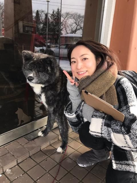 大館で探そう！秋田名物