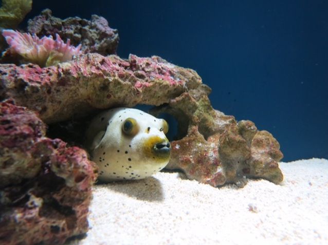 7月13日（月）今日の1コマ
