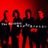 The Birthday "答えがまだ見つからない"（2019年3月）期間限定再配信！