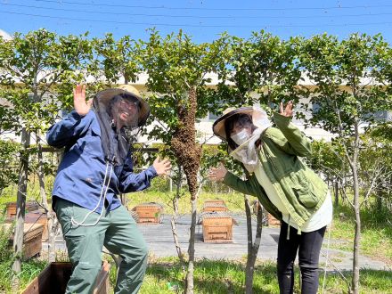 【#6_蜂のお引越し～奇跡の出会いから森作り仲間へ】～Sato Note