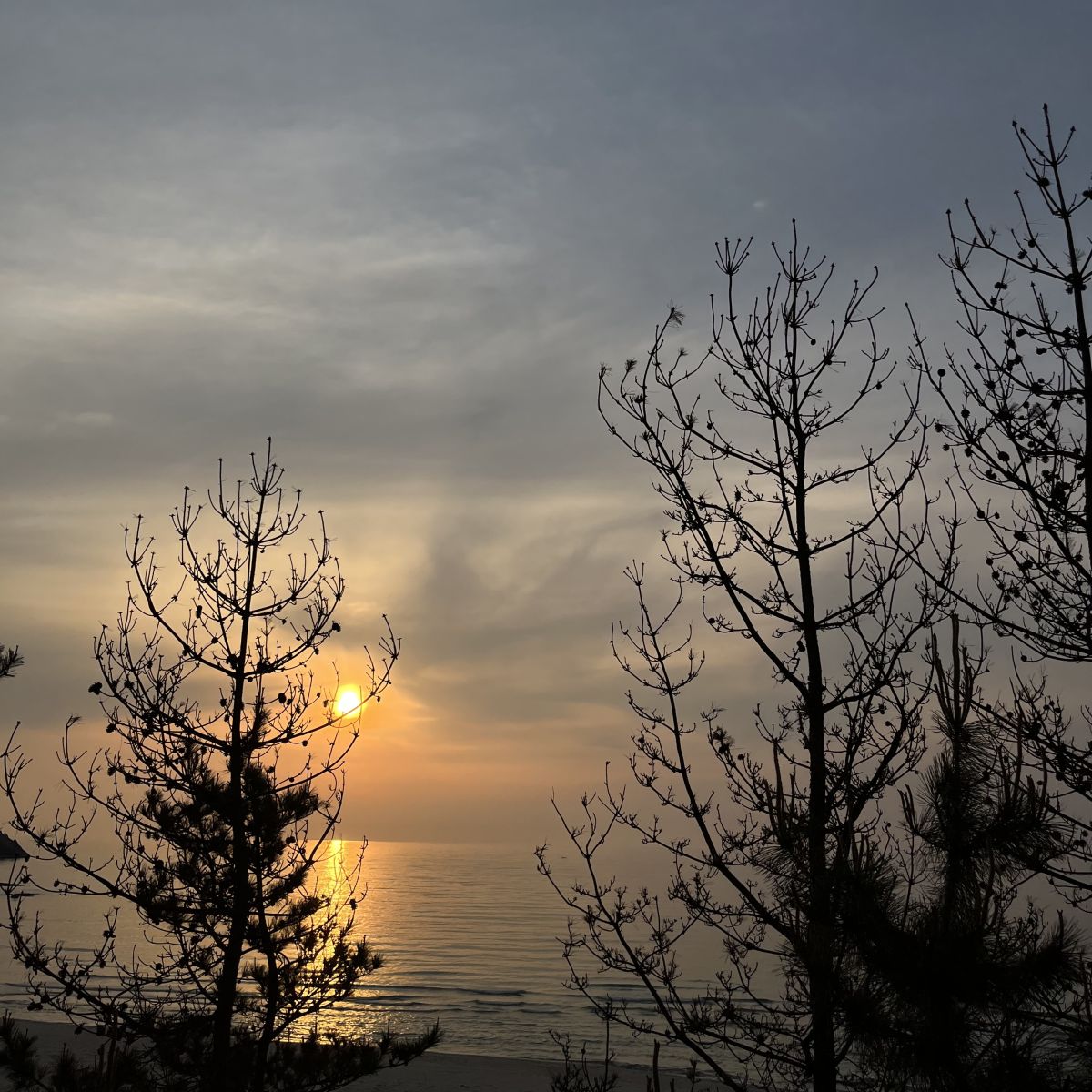 Chit Chat #120 (2025.05.16)