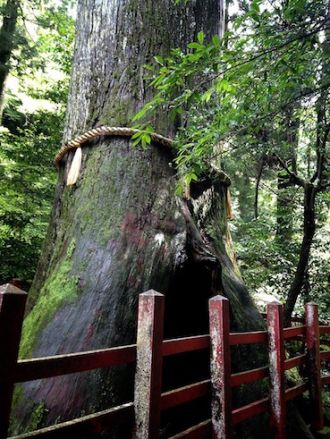 7月24日（金）今日の1コマ