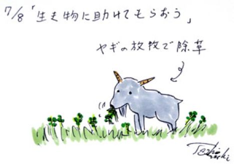 7月8日（火）のデリフラは・・・