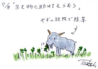 7月8日（火）のデリフラは・・・