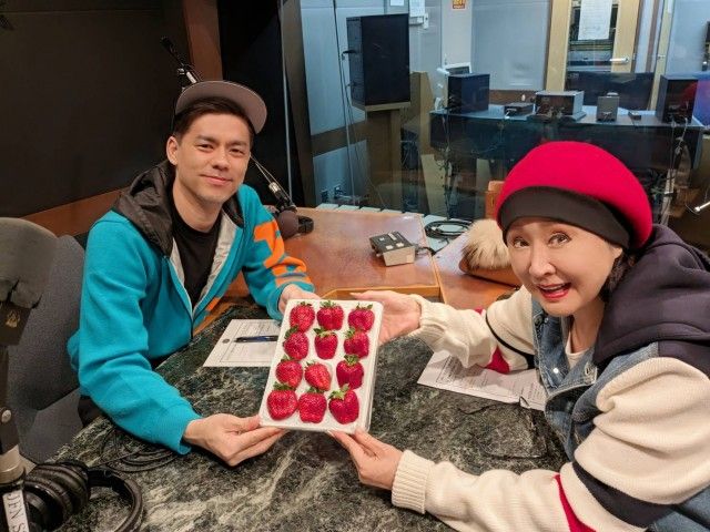 ドグマと中村の株価大暴落…