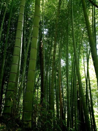 10月29日（水）今日の1コマ