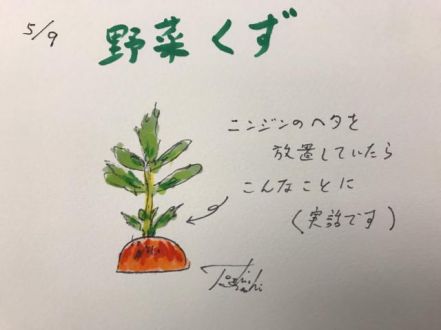 野菜くず活用法！（5/9）