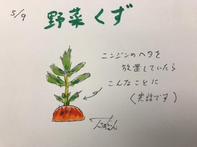 野菜くず活用法！（5/9）