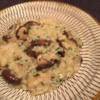 11月25日（火）今日の1コマ