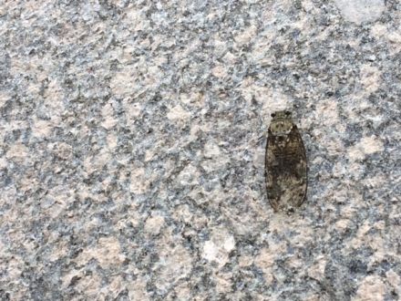 8月1日（月）今日の1コマ